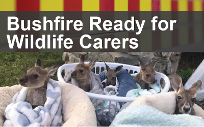 Bushfire Ready for Wildlife Carers