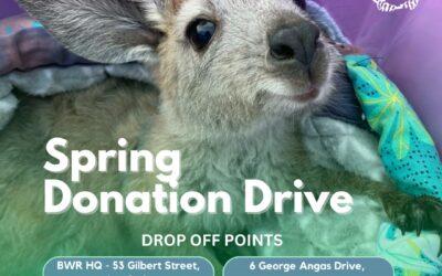 Spring Donation Drive